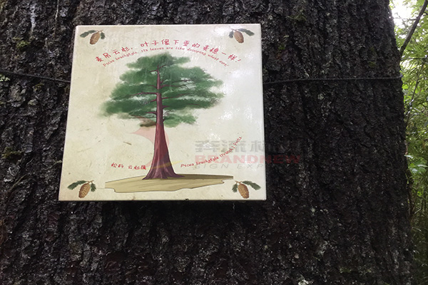 景區(qū)標識色彩