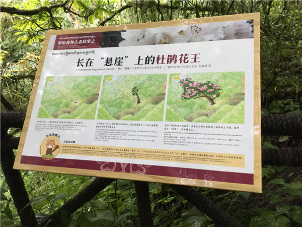 標(biāo)識(shí)設(shè)計(jì)制作 標(biāo)識(shí)設(shè)計(jì)制作